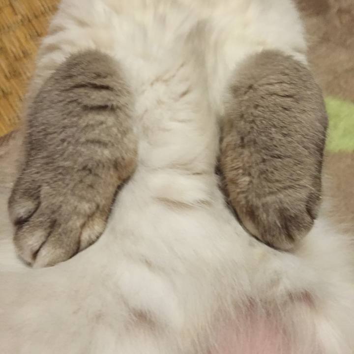 5fbaff76 6b43 4cbc 8867 a89f77b4e589