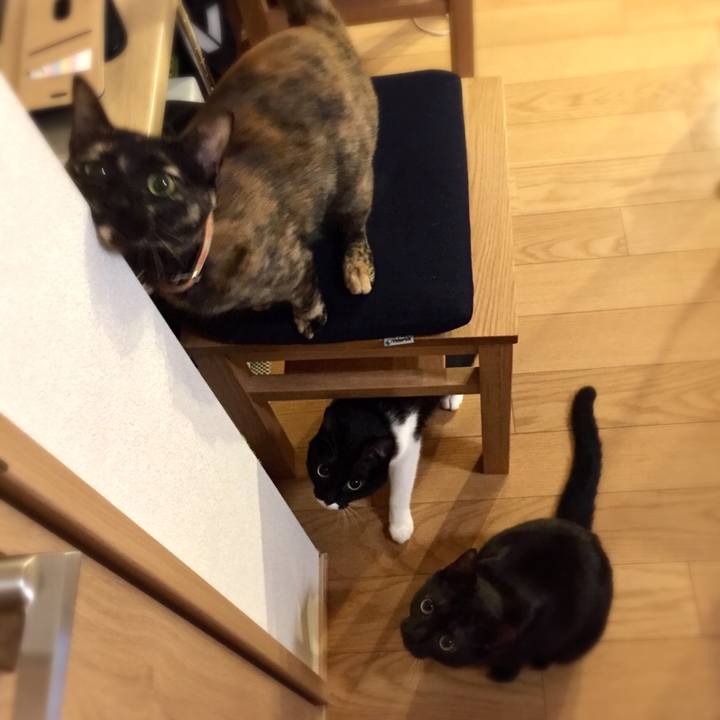 5fbb7f4b 0273 41b9 8008 b1ed945262d4