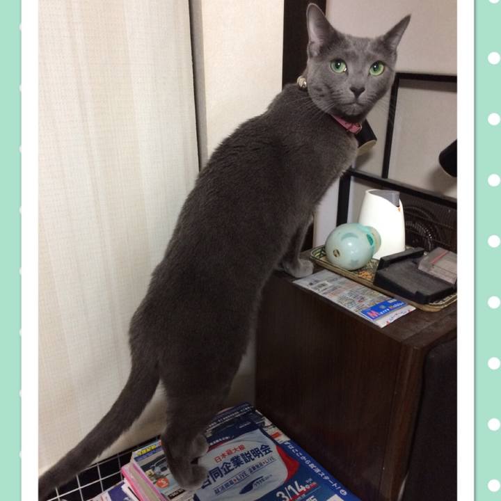 5fbbcbd2 8c2a 4e04 b027 74d2d8959b3d