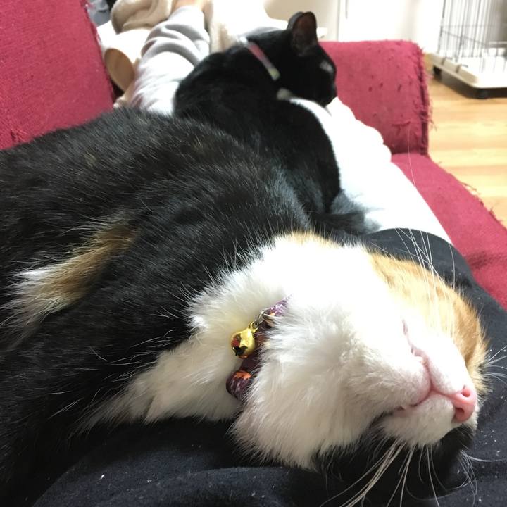 5fbbd376 328d 47db a972 ee99824ce773