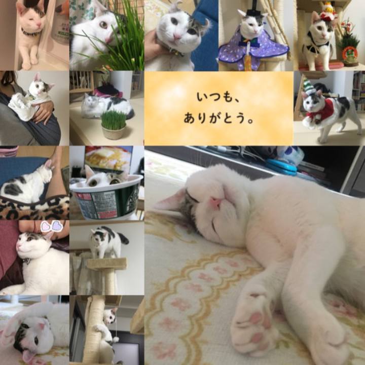 5fbbf861 47e5 4cec 8d87 a9a7211e6824