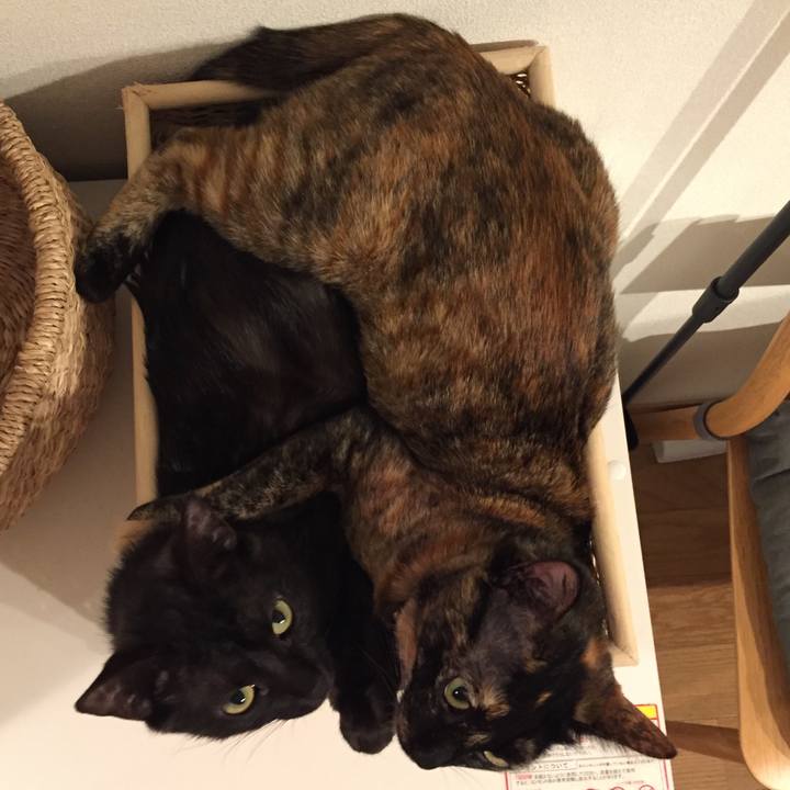 5fbc0cff 599f 4139 9efb 052a929ff61f