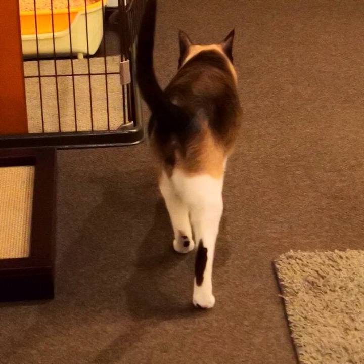 5fbca543 e180 4968 9b9c eaf210e79cd6