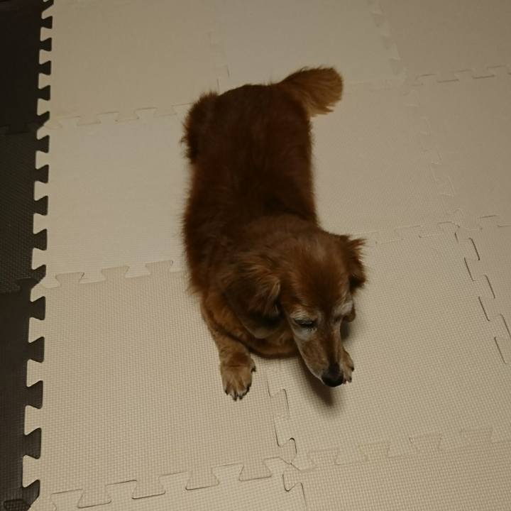 5fbcbc61 2335 4ec1 a36d d46fb7b265ac