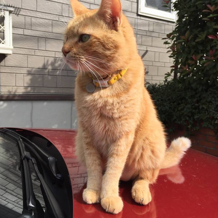 5fbcfa29 01c8 4144 9982 4a3ec0c324af