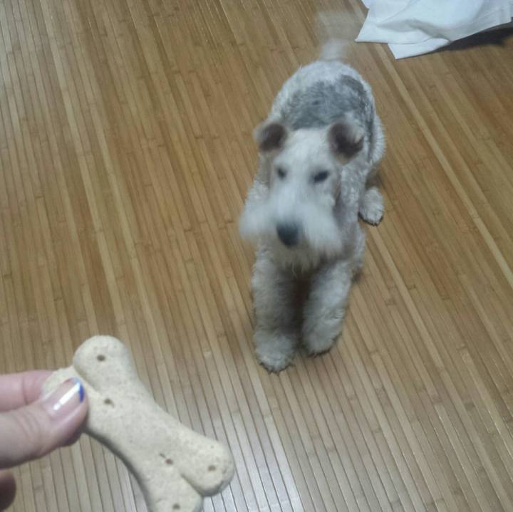 5fbdce8e 1f38 44fc b609 dd9cc5179eff