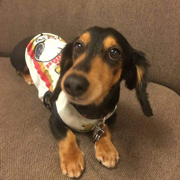 5fbdcf21 28d4 4b12 a2b2 e86c914885bf