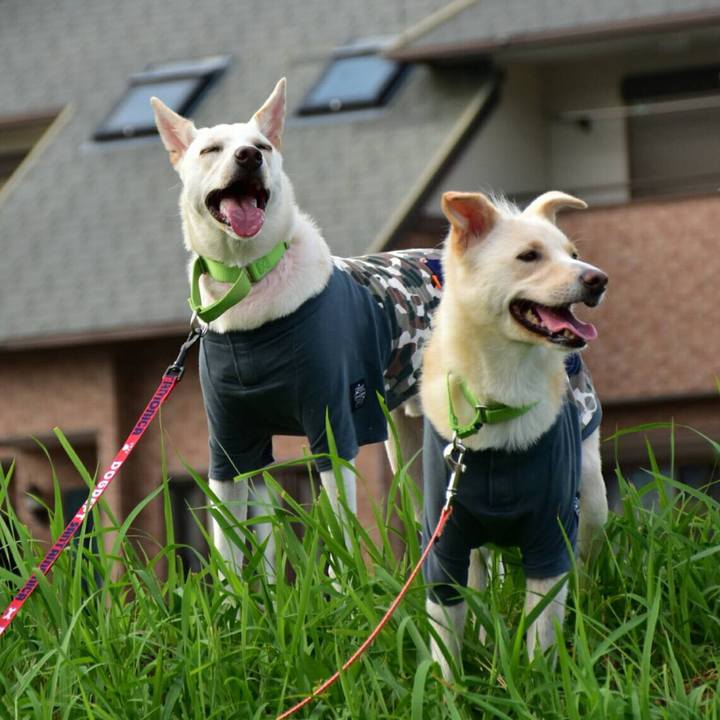 5fbddf6b fa4a 4075 9bfe d792cde76ce7