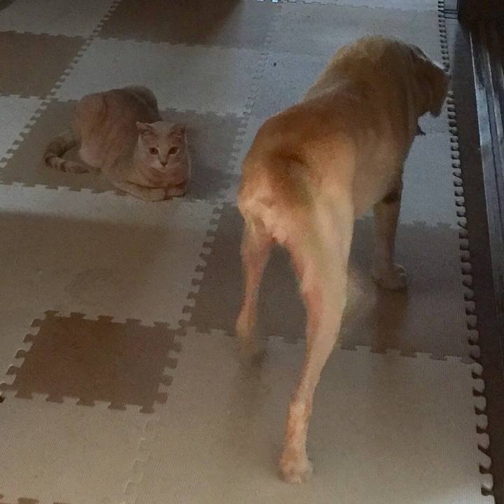 5fbe60ff 4500 449e 82cb 603193bb7e3e