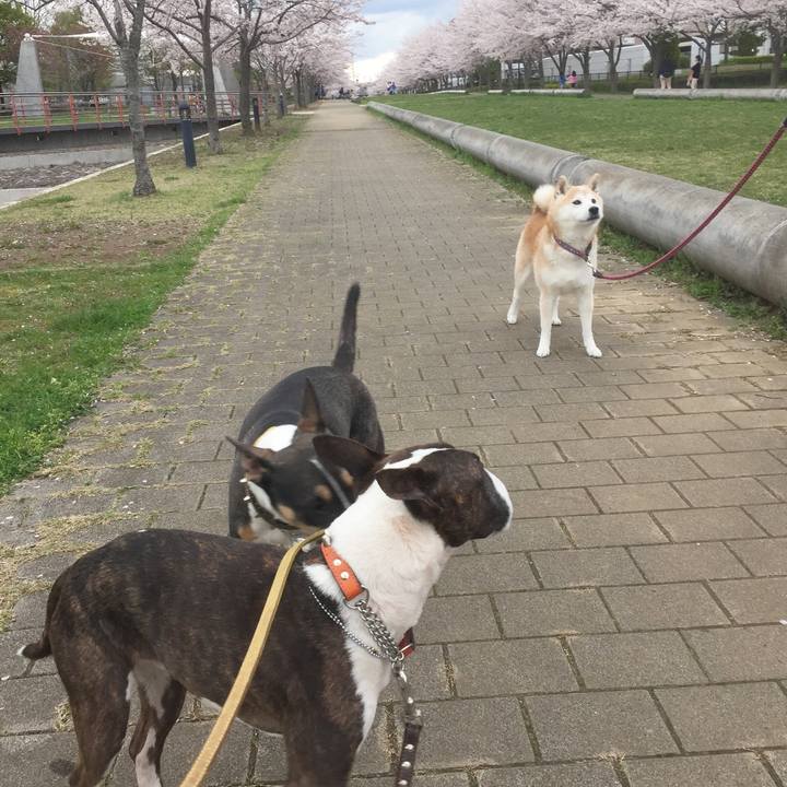 5fbe97a8 fc2a 478f 9eff d7635393ec14