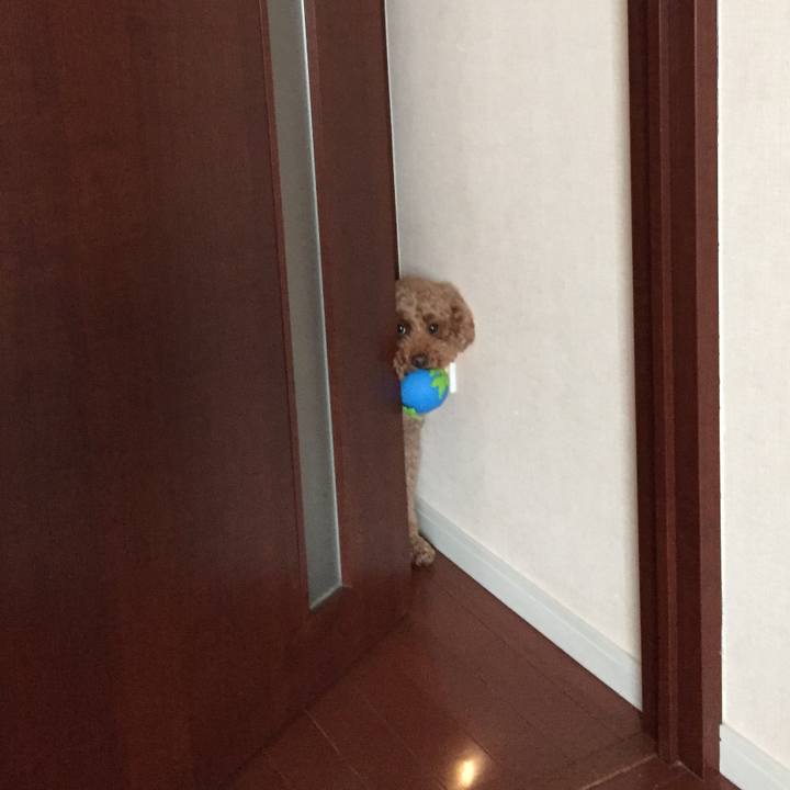 5fbea298 f2f1 46d8 a00f 1bd14cf7310b