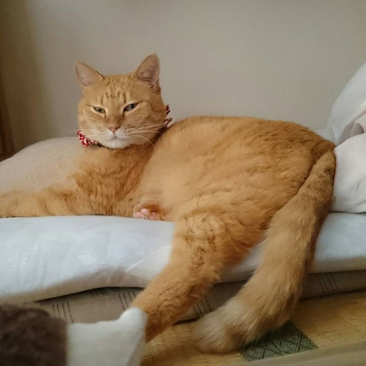 5fbfb781 fa71 4f9d a10a 27c3f2622cdb