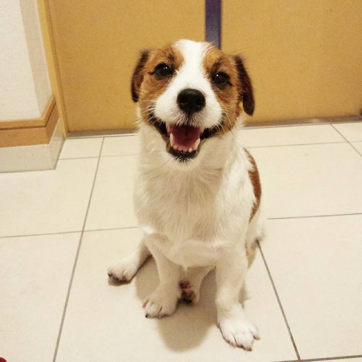 5fbfdf6a ae9f 4c0b 803a 884a0c0056e8