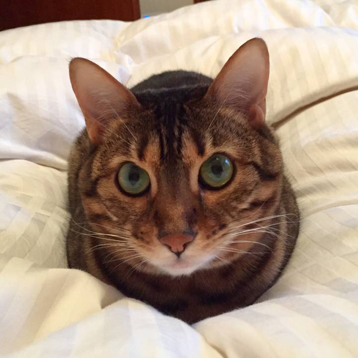 5fbffd89 53ed 4ec6 b419 6cd5a547439b