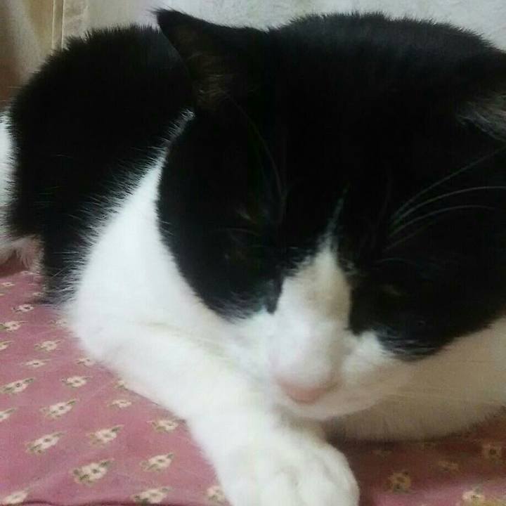 5fc04e6f 5a45 4a8d 9048 29f1231746cb