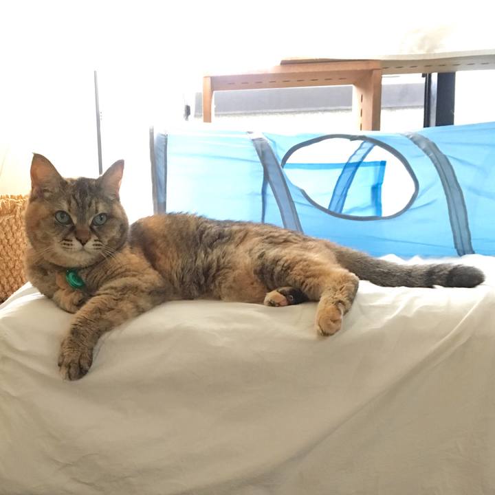 5fc082a1 a287 47c3 9667 ce3c06c4886f