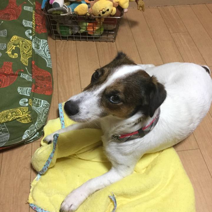 5fc08f45 7865 4c86 b287 ed677f232e39