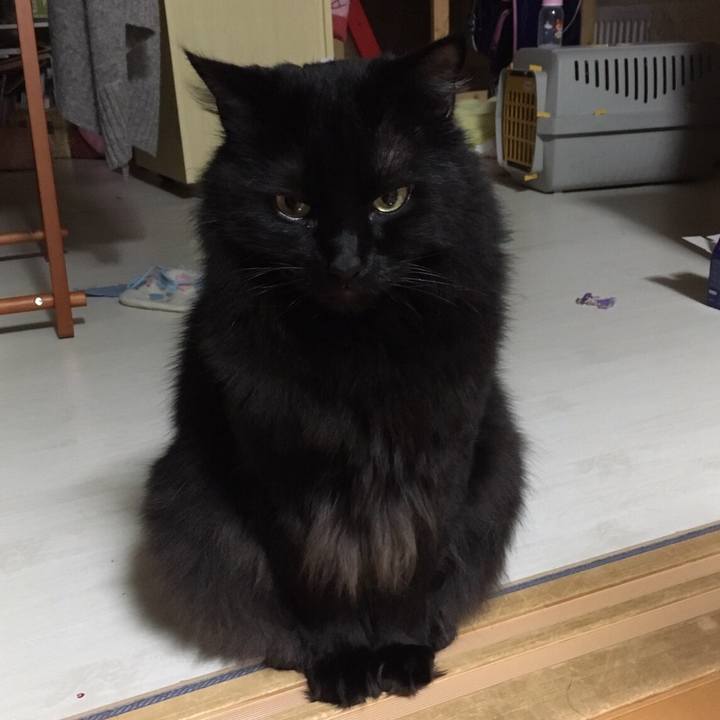 5fc10d52 96b6 4ae6 b0dc f3be6c0c3596