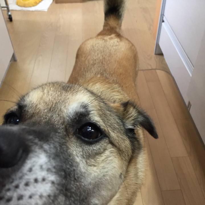 5fc181a5 53b8 490e a50b 455611b22190