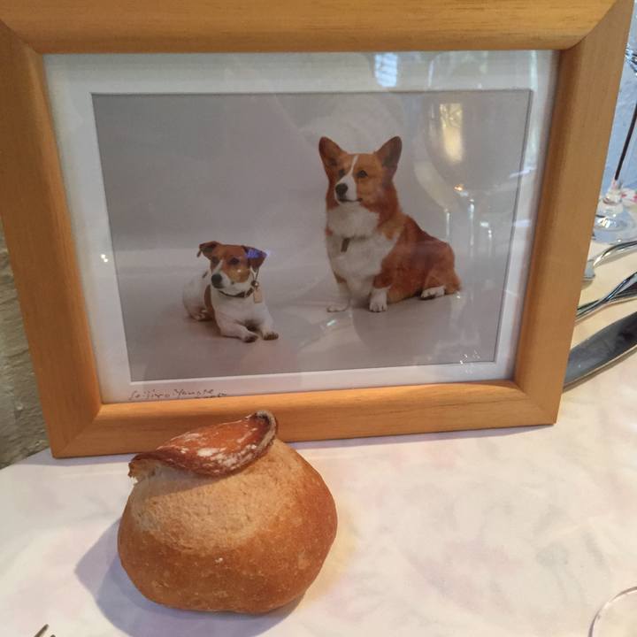 5fc1d99e 5e0e 4573 a8b4 c8b89ddd0540