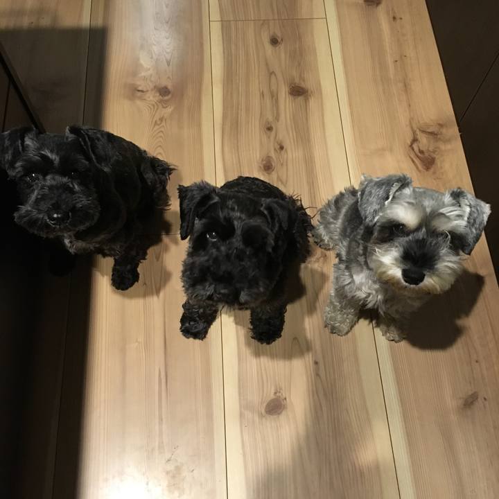 5fc1e2b2 55e0 4800 995b 7da2aa1240e1