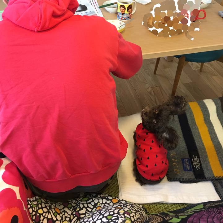 5fc26be8 de07 4699 9aef 8e6817690348