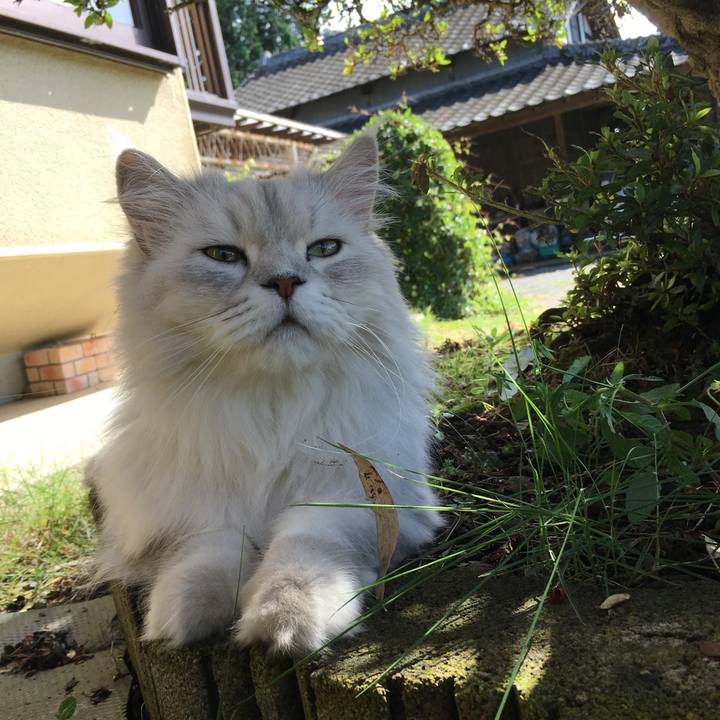 5fc3b1e4 3b29 4bfe 9d99 fd90794a30ef