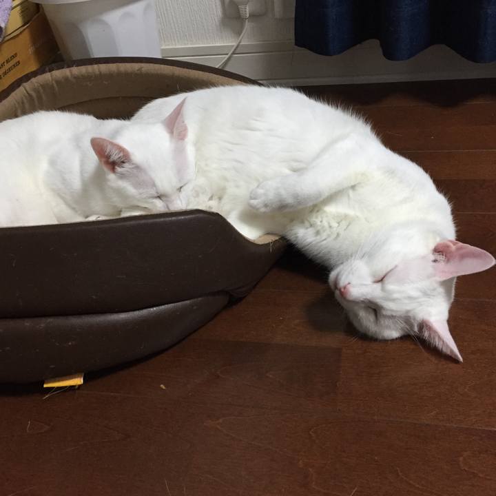 5fc44422 ea28 47bf a958 56157b08fda9