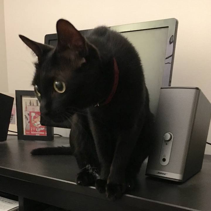 5fc44ac8 1682 4055 9358 08f65977434b