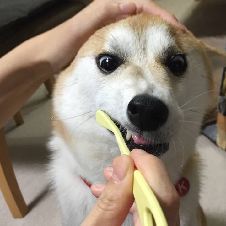 5fc466eb d5b3 4948 ae26 1cfdd6d15474