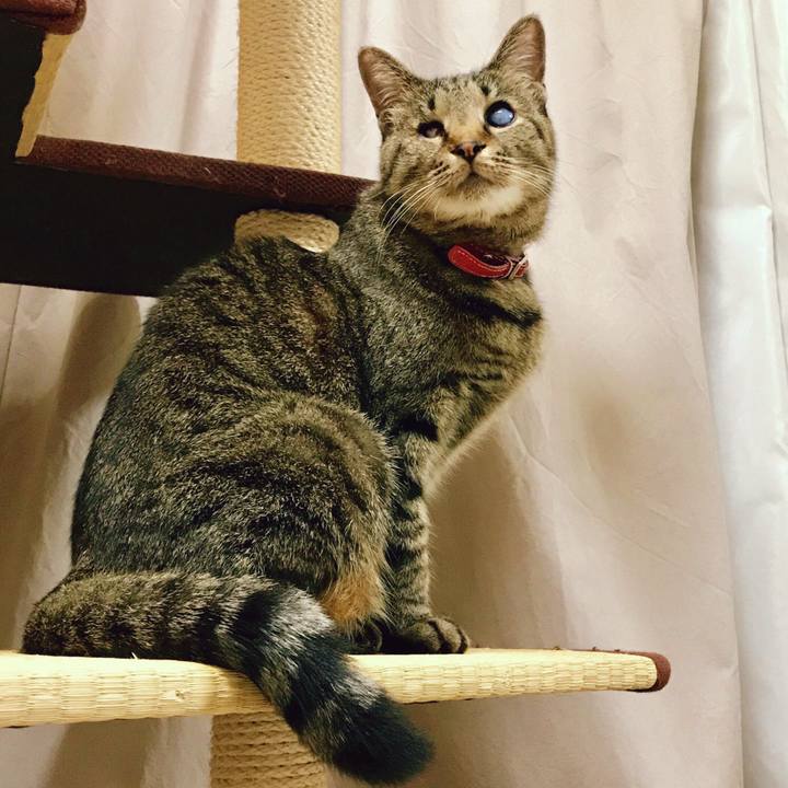 5fc468e1 e05f 4d88 a581 5b9b3fabae1f