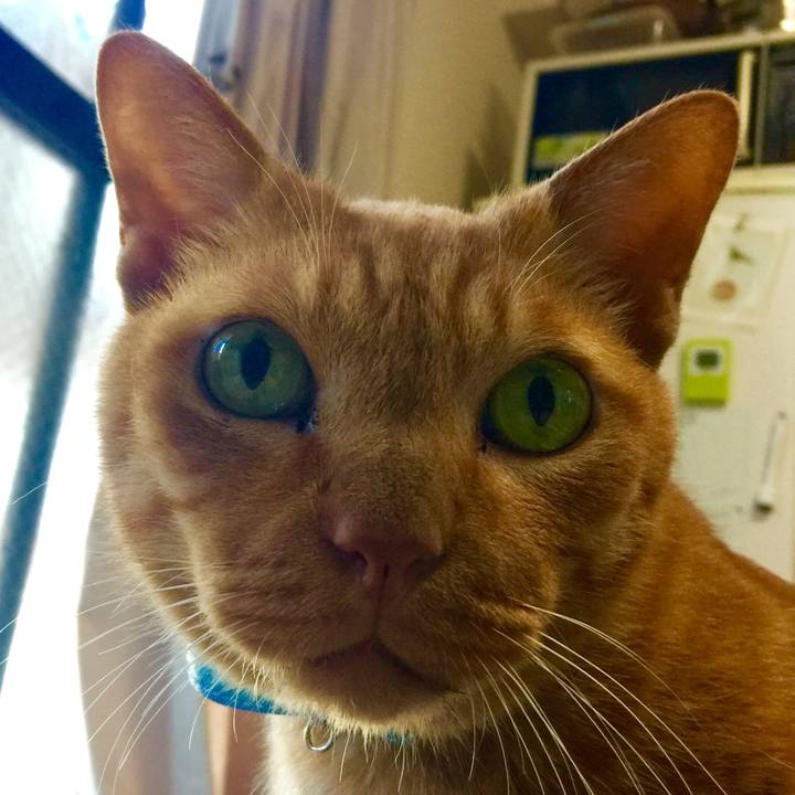 5fc46da1 f870 402b 80ed 0e7d6b9d931a