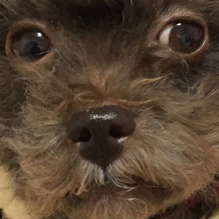 5fc497fe 090a 4eb4 a65c b648f05b7d8d