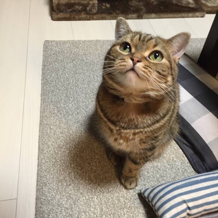 5fc59ee0 4ab1 40fc 8962 7ad391dc9134