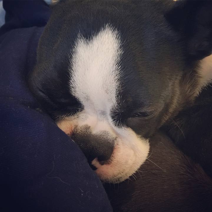 5fc5bf0f 32ac 4dbe aaa9 4c306dbc13fd