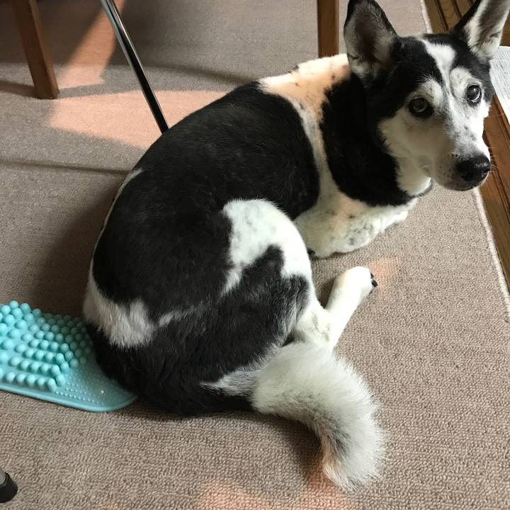 5fc68e79 bf55 440d a233 6a6d1588adff