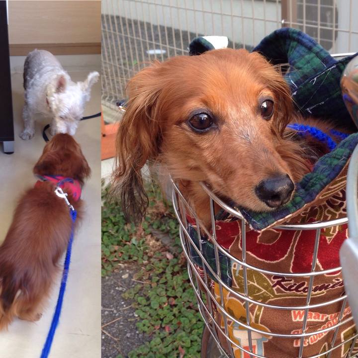 5fc708f5 423b 44a7 9a12 85d52eb98642