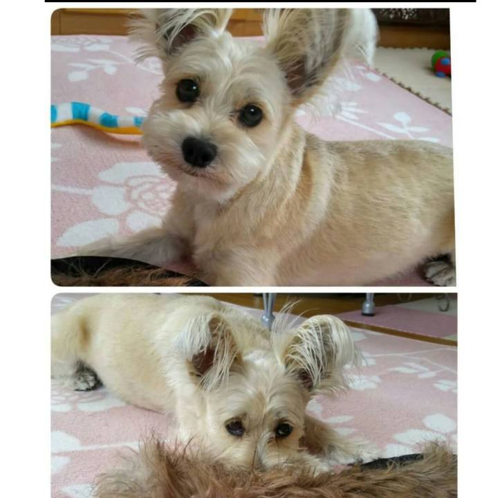 5fc7ae40 5a41 490d b286 7a225a1f6f76