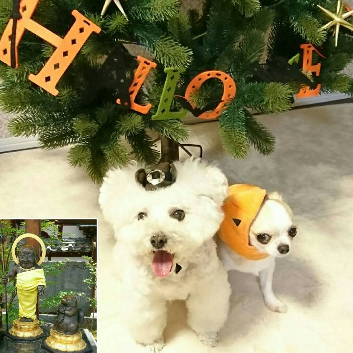 5fc7b696 e933 4fda 98b1 f23808b63015