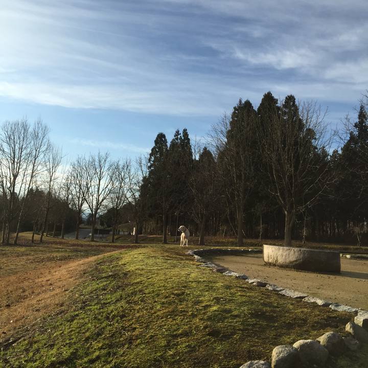 5fc7dcd8 fbbf 44d9 ba9f 04b2562fbb53