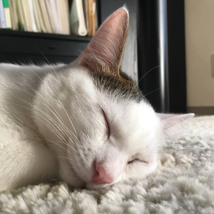 5fc8143e 707b 4352 a742 e4efedf39c35