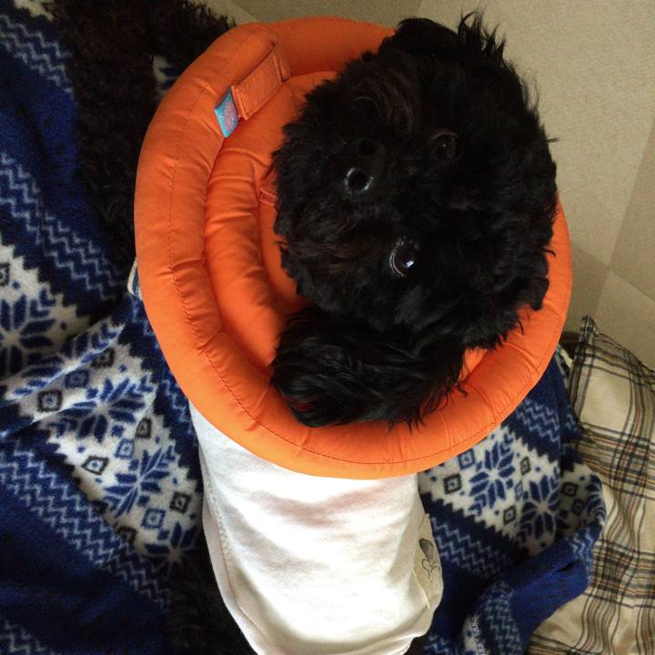 5fc83b90 8994 4993 aa5c 757e966186e8