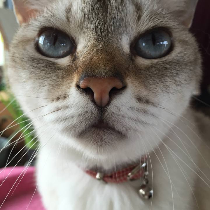 5fca7959 97a9 45d4 ad81 c449cfa3ea42