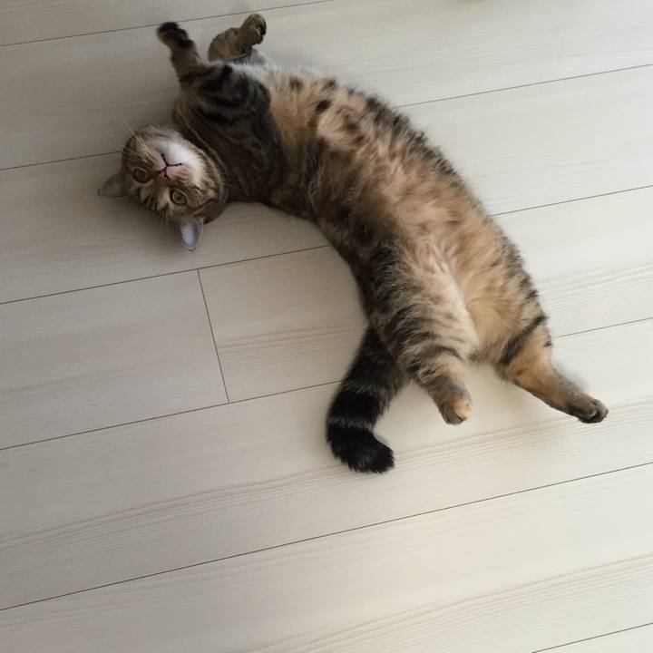 5fcb446a ba1d 4c5f a4b4 b98d25fbadb9