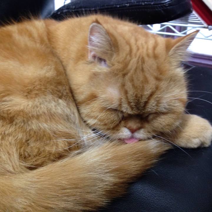 5fcb96b0 bea3 4fd1 b22e a9b476408731