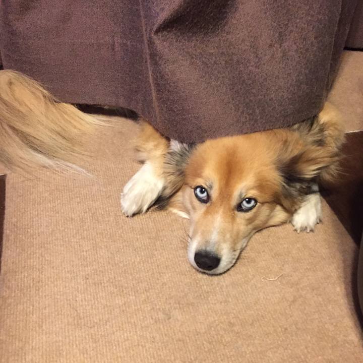 5fcc7a41 b956 4911 a0e4 52e2d6a1cc2e