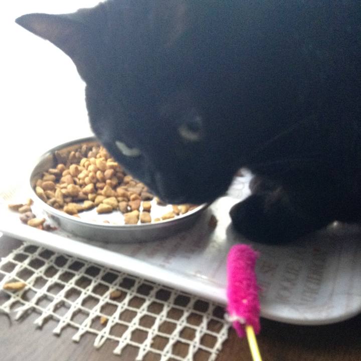 5fccc4b0 5c70 42eb 8491 867ff95b3ddb