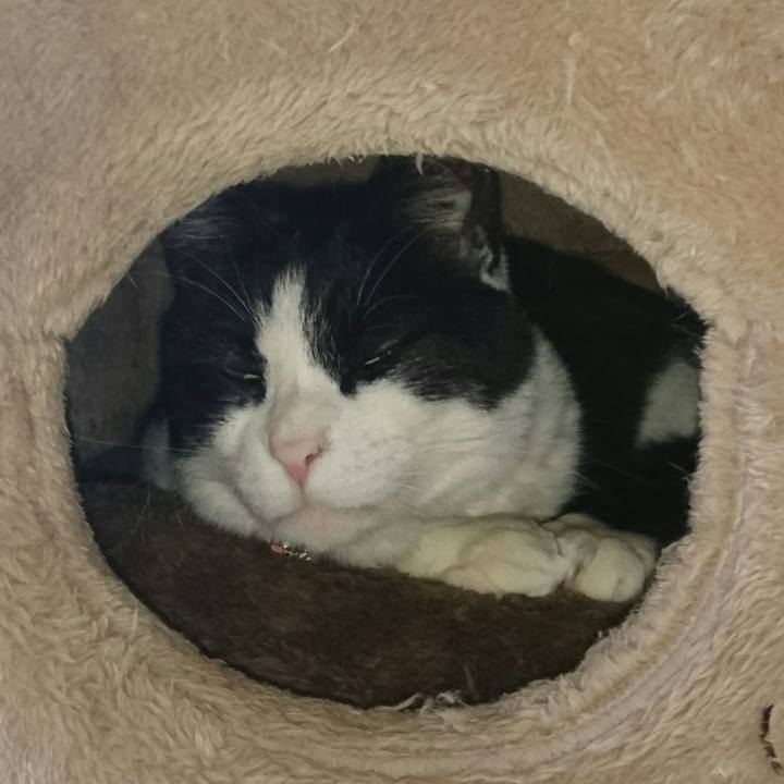 5fcd1c40 ec0a 4d53 a6c4 e3644f9ddace