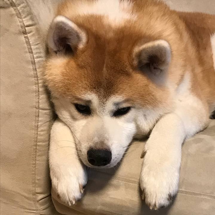 5fcd2d5d 3073 4930 adda 0d0124440cae