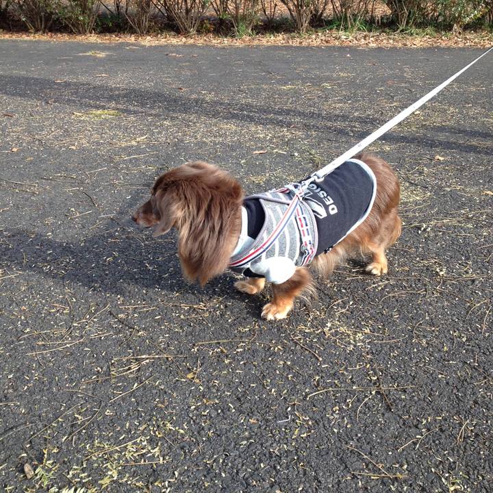 5fcdc6f3 5dcd 410f b300 b8df1b90c801